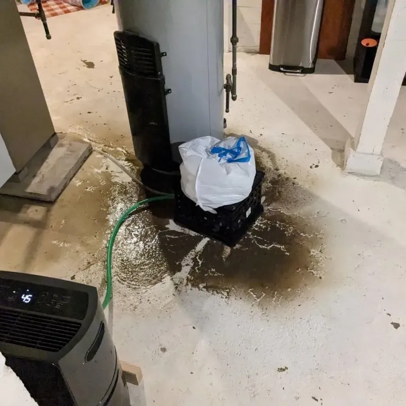 Sewage Backup Cleanup Service in Midland City, AL